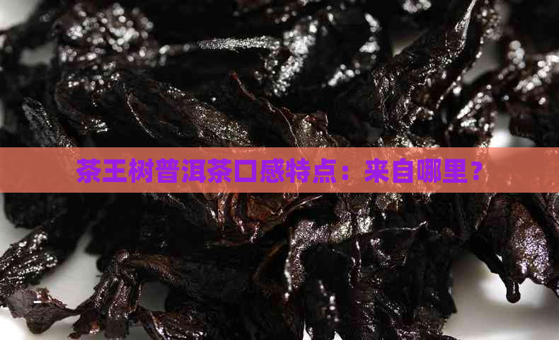 茶王树普洱茶口感特点：来自哪里？