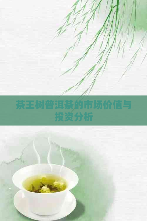 茶王树普洱茶的市场价值与投资分析