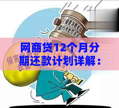 网商贷12个月分期还款计划详解：详细了解每月应还款项与还款方式