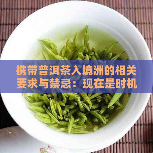 携带普洱茶入境洲的相关要求与禁忌：现在是时机吗？