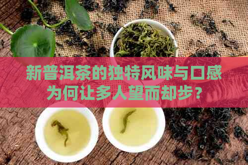 新普洱茶的独特风味与口感为何让多人望而却步？