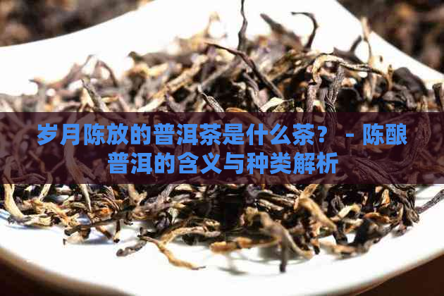 岁月陈放的普洱茶是什么茶？ - 陈酿普洱的含义与种类解析