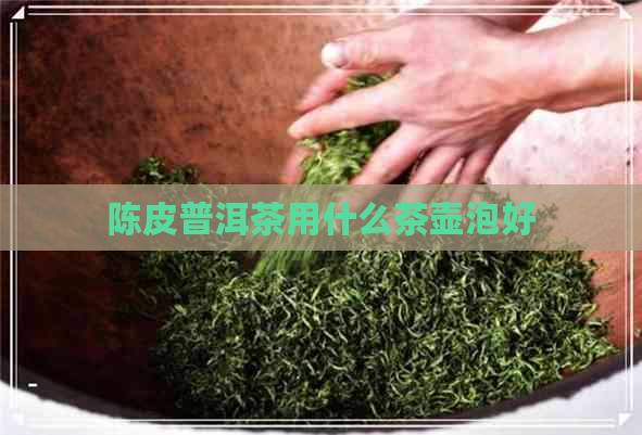 陈皮普洱茶用什么茶壶泡好