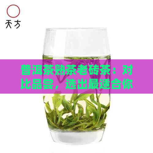 普洱茶熟茶老砖茶：对比品尝，选出最适合你的好茶