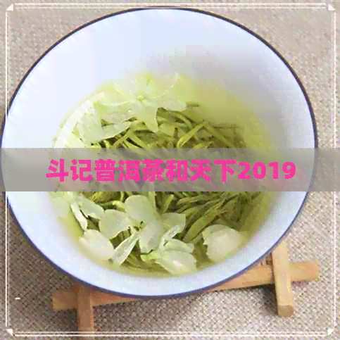 斗记普洱茶和天下2019