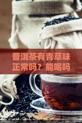 普洱茶有青草味正常吗？能喝吗？怎么回事？