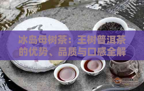 冰岛母树茶：王树普洱茶的优势、品质与口感全解析