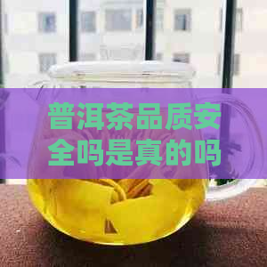 普洱茶品质安全吗是真的吗？能喝吗？还是假的？