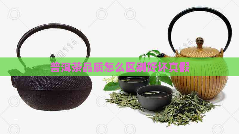 普洱茶品质怎么区别好坏真假