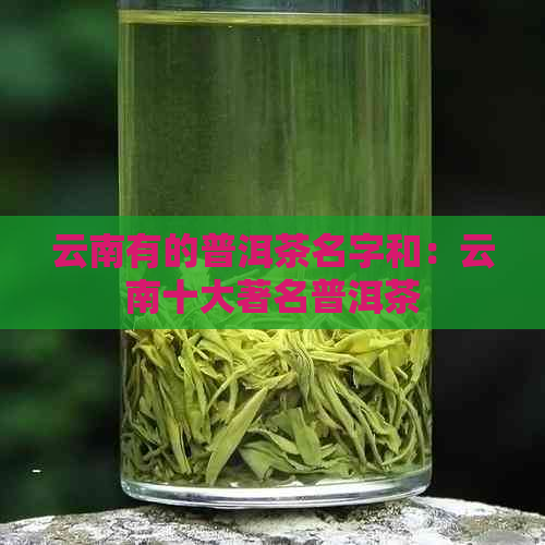 云南有的普洱茶名字和：云南十大著名普洱茶