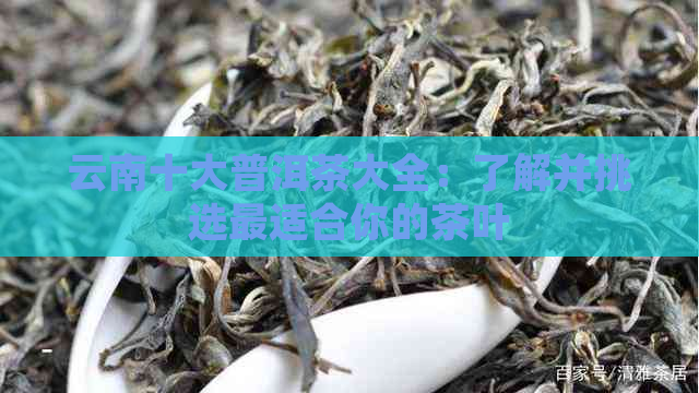 云南十大普洱茶大全：了解并挑选最适合你的茶叶