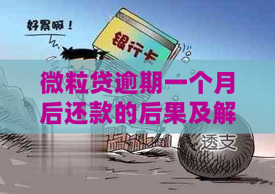 微粒贷逾期一个月后还款的后果及解决方法，确保用户贷款顺利回收