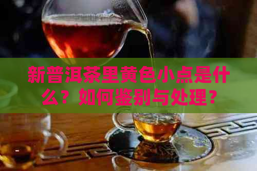 新普洱茶里黄色小点是什么？如何鉴别与处理？