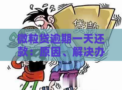 微粒贷逾期一天还款：原因、解决办法与影响分析