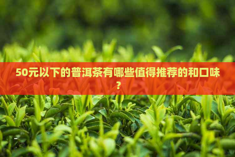 50元以下的普洱茶有哪些值得推荐的和口味？