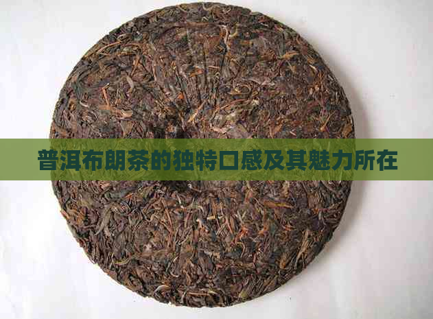 普洱布朗茶的独特口感及其魅力所在