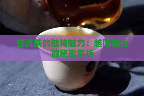 普洱茶的独特魅力：越陈越香的秘密解析