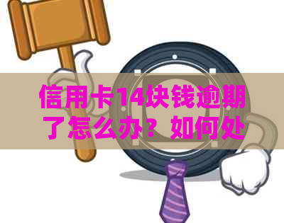 信用卡14块钱逾期了怎么办？如何处理？