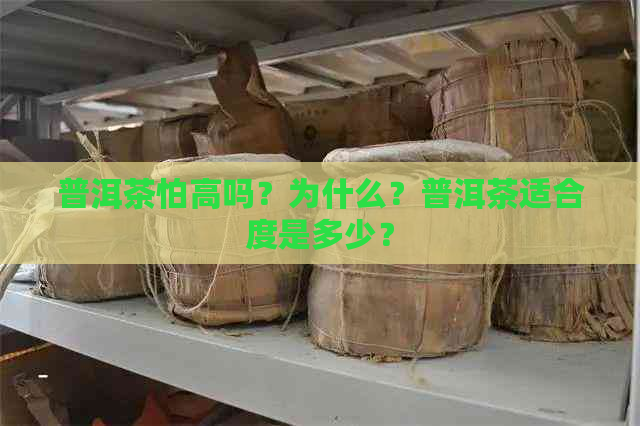 普洱茶怕高吗？为什么？普洱茶适合度是多少？