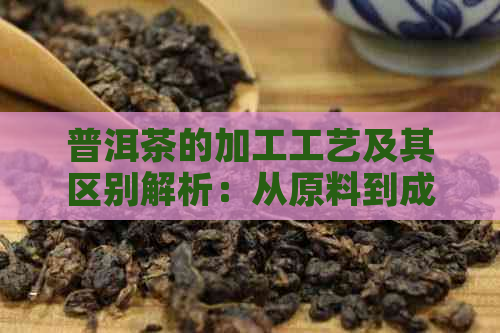 普洱茶的加工工艺及其区别解析：从原料到成型，全面了解普洱茶的制作过程