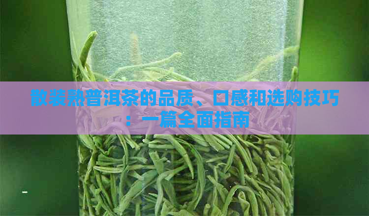 散装熟普洱茶的品质、口感和选购技巧：一篇全面指南