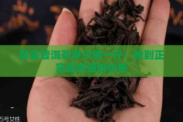 散装普洱茶多少钱一斤：找到正宗且合适的价格