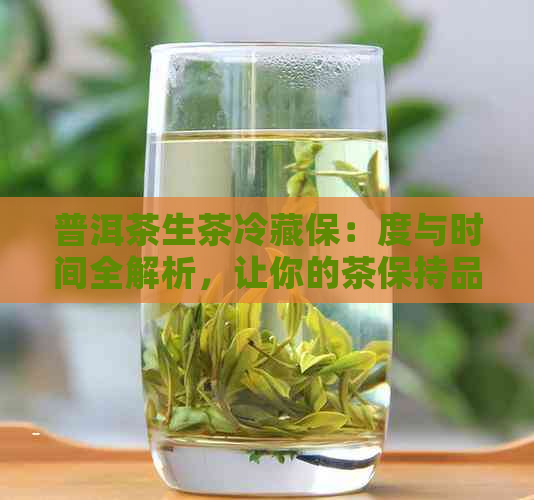 普洱茶生茶冷藏保：度与时间全解析，让你的茶保持品质！