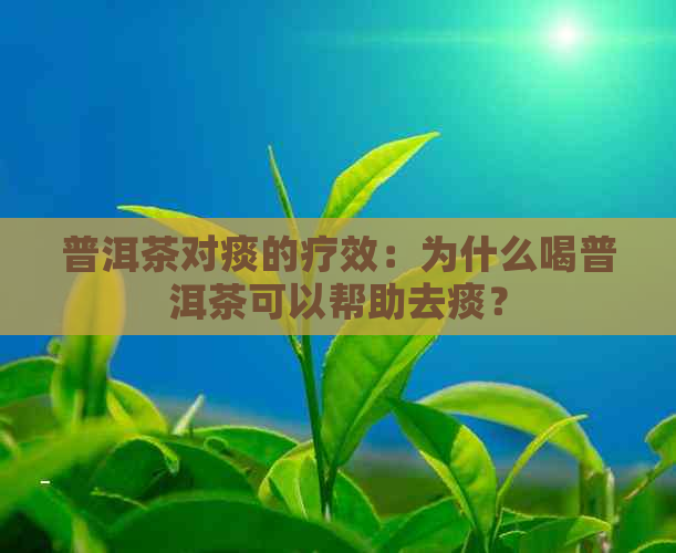 普洱茶对痰的疗效：为什么喝普洱茶可以帮助去痰？