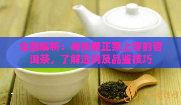 全面解析：寻找最正宗上等的普洱茶，了解选购及品鉴技巧