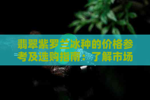 翡翠紫罗兰冰种的价格参考及选购指南：了解市场价位、品质鉴别与购买渠道