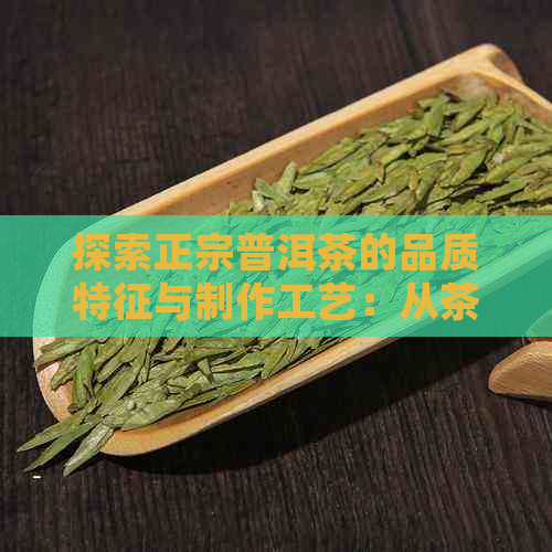 探索正宗普洱茶的品质特征与制作工艺：从茶叶形态到口感体验的全方位解析