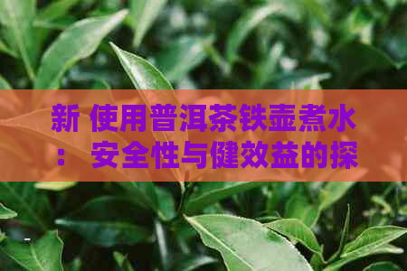 新 使用普洱茶铁壶煮水： 安全性与健效益的探讨