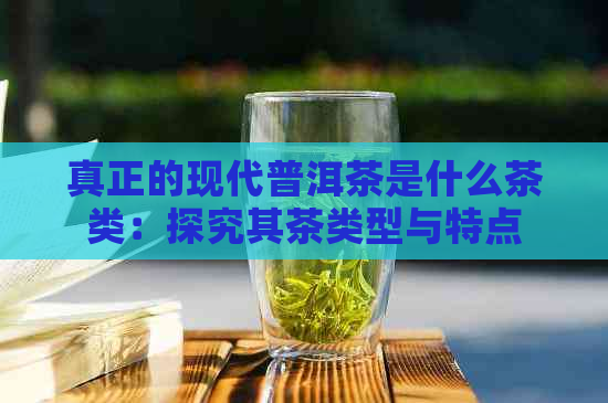 真正的现代普洱茶是什么茶类：探究其茶类型与特点