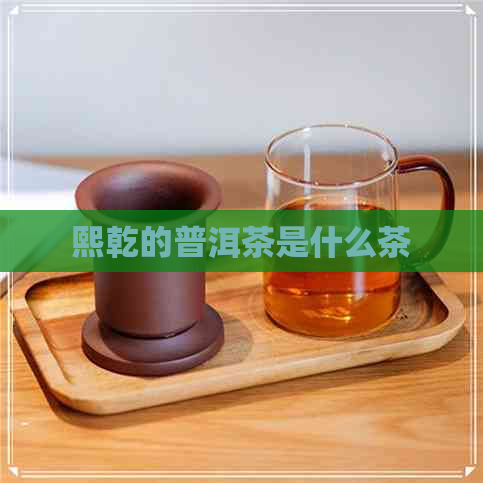 熙乾的普洱茶是什么茶