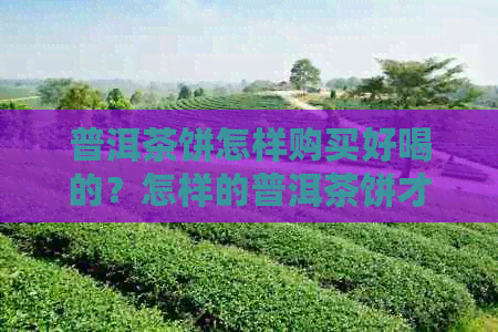 普洱茶饼怎样购买好喝的？怎样的普洱茶饼才算好？