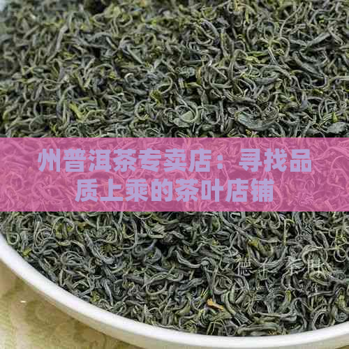 州普洱茶专卖店：寻找品质上乘的茶叶店铺