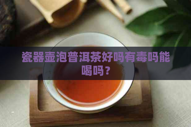 瓷器壶泡普洱茶好吗有吗能喝吗？