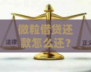 微粒借贷还款怎么还？无法还款及正确还款方法