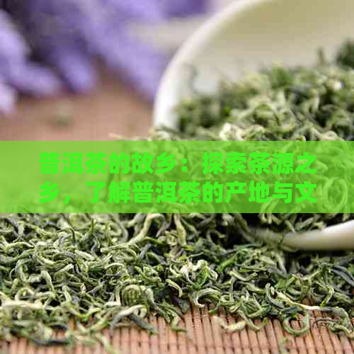 普洱茶的故乡：探索茶源之乡，了解普洱茶的产地与文化