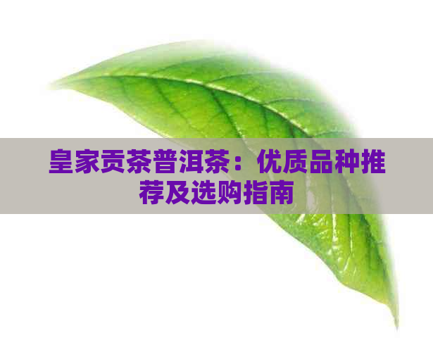 皇家贡茶普洱茶：优质品种推荐及选购指南