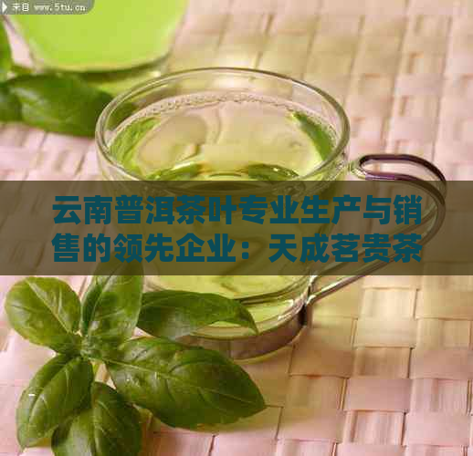 云南普洱茶叶专业生产与销售的领先企业：天成茗贵茶叶