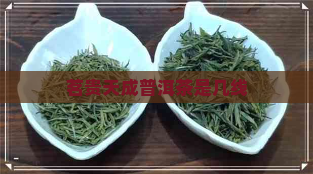 茗贵天成普洱茶是几线