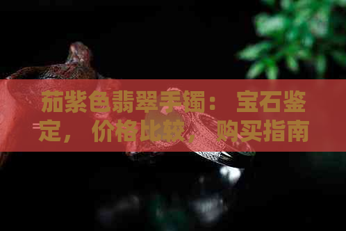 茄紫色翡翠手镯： 宝石鉴定， 价格比较， 购买指南， 适合搭配服饰