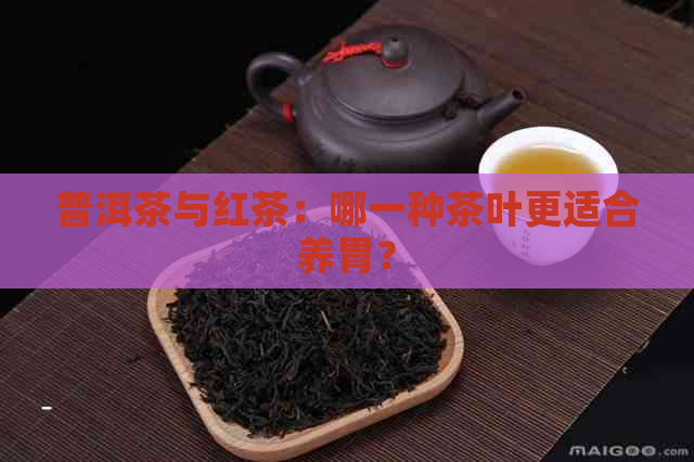 普洱茶与红茶：哪一种茶叶更适合养胃？