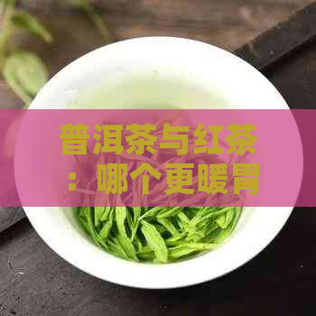 普洱茶与红茶：哪个更暖胃、养胃且对身体好？