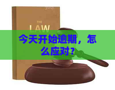 今天开始逾期，怎么应对？