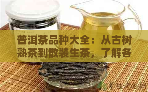 普洱茶品种大全：从古树熟茶到散装生茶，了解各种类型与特点