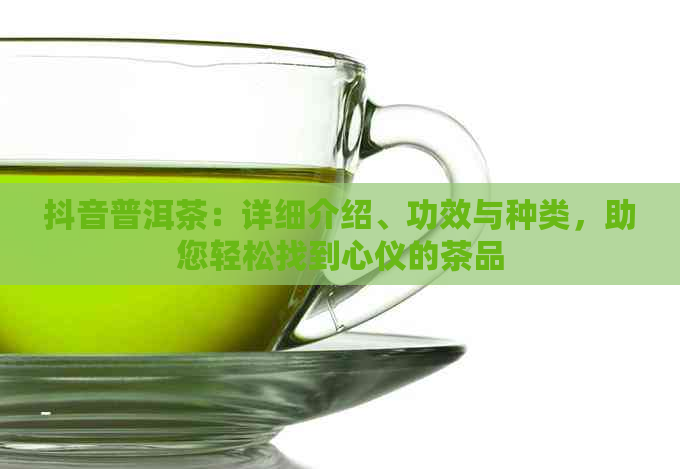 抖音普洱茶：详细介绍、功效与种类，助您轻松找到心仪的茶品