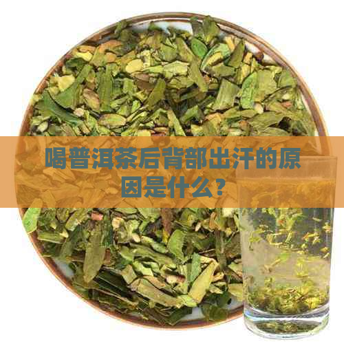 喝普洱茶后背部出汗的原因是什么？