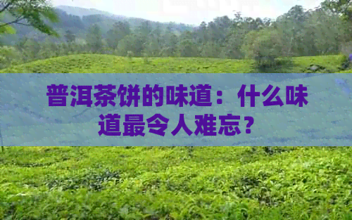 普洱茶饼的味道：什么味道最令人难忘？